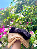 Palazoo pant